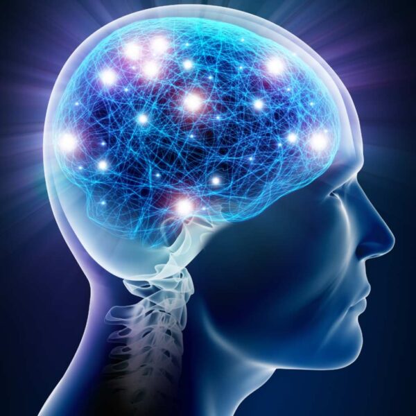 Neurotransmitter Test