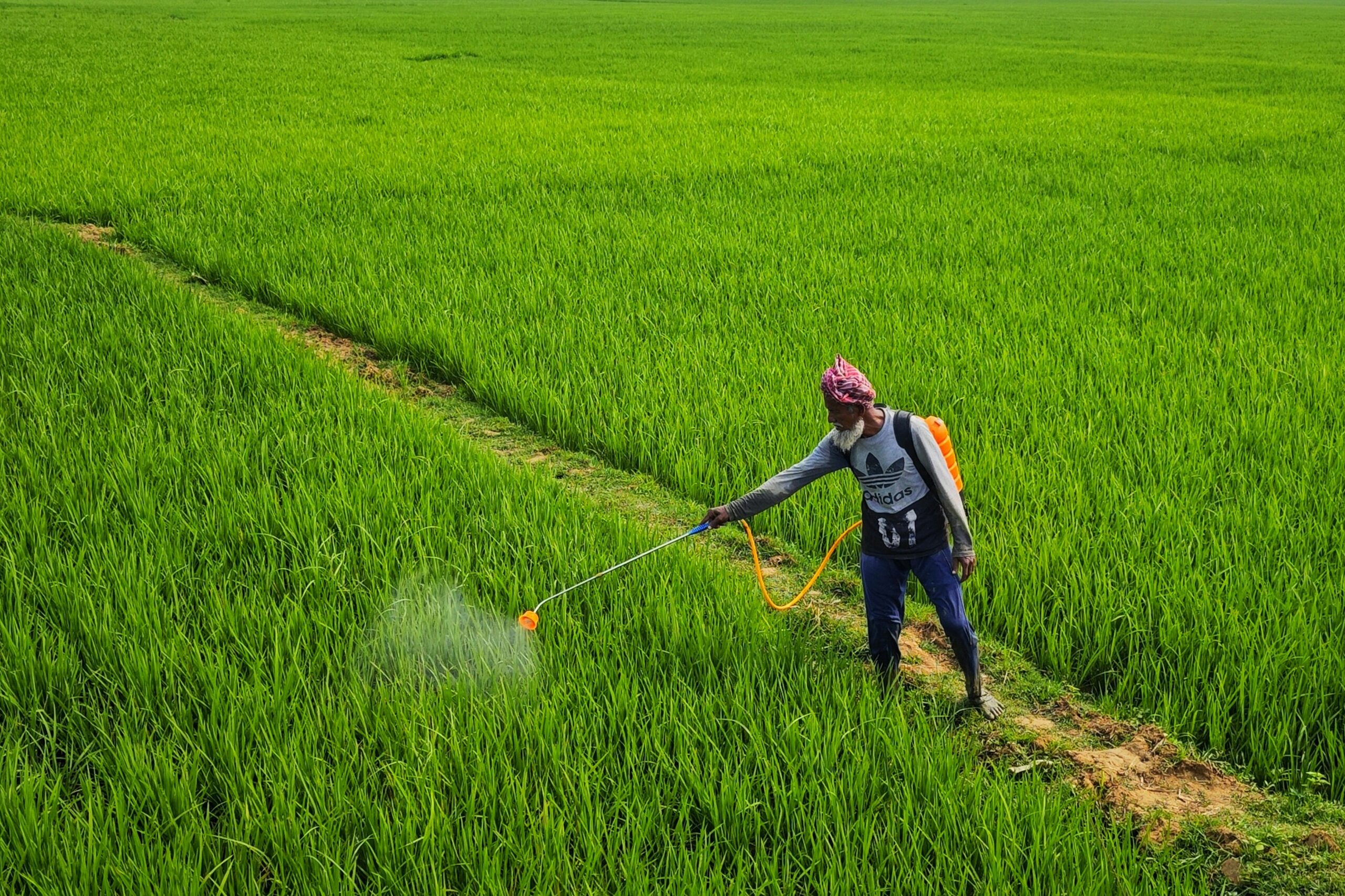 Glyphosate Health Risks and Detox: How to Protect Your Health