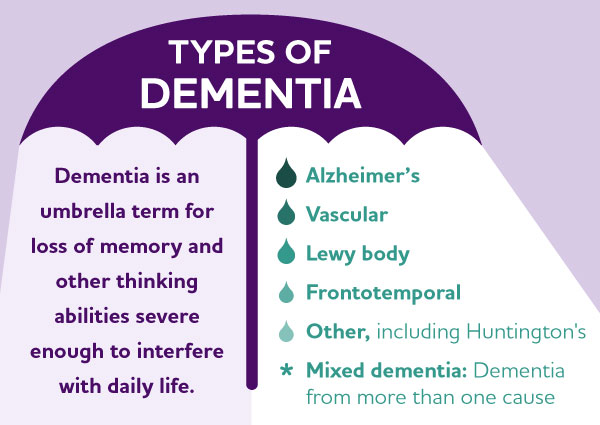 Boost your brain health with science-backed techniques to sharpen memory and protect against cognitive decline.